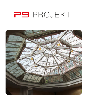 P9 Projekt